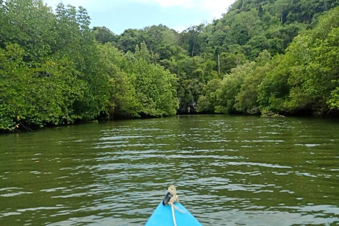 Krabi: Kayaking Tour at Ban Bor Thor Ancient Cave & Mangroves - What to bring (and what to skip)