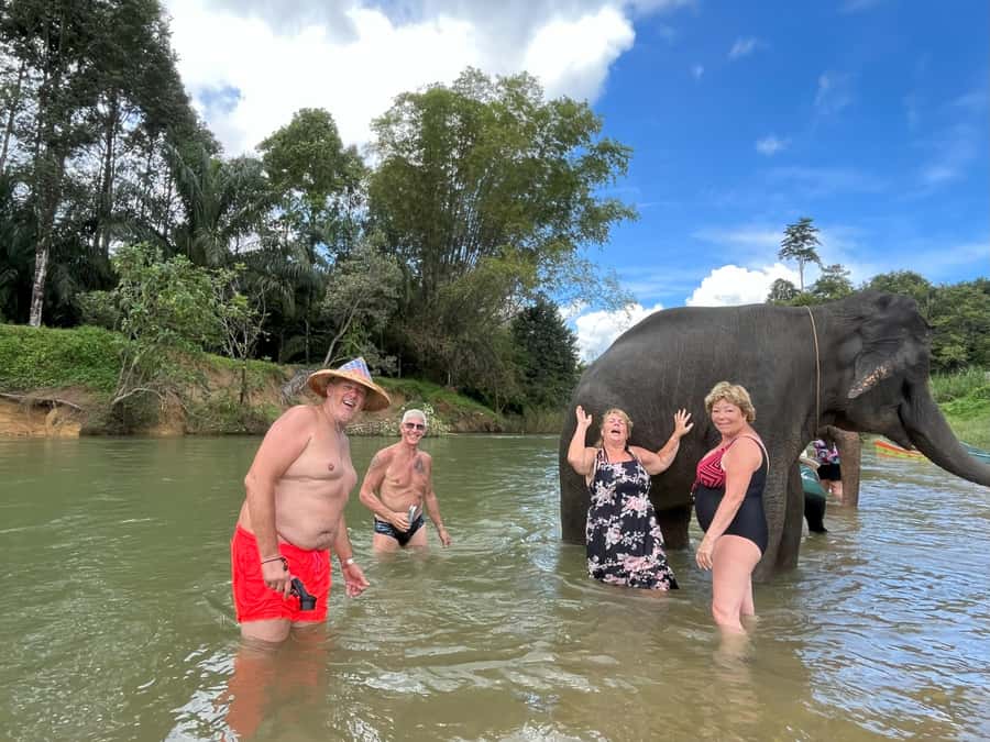 Krabi: Khao Sok Elephant Rescue Center & Bamboo Raft Paddle - Elephant Sanctuary Time in Khao Sok: What You Actually Do