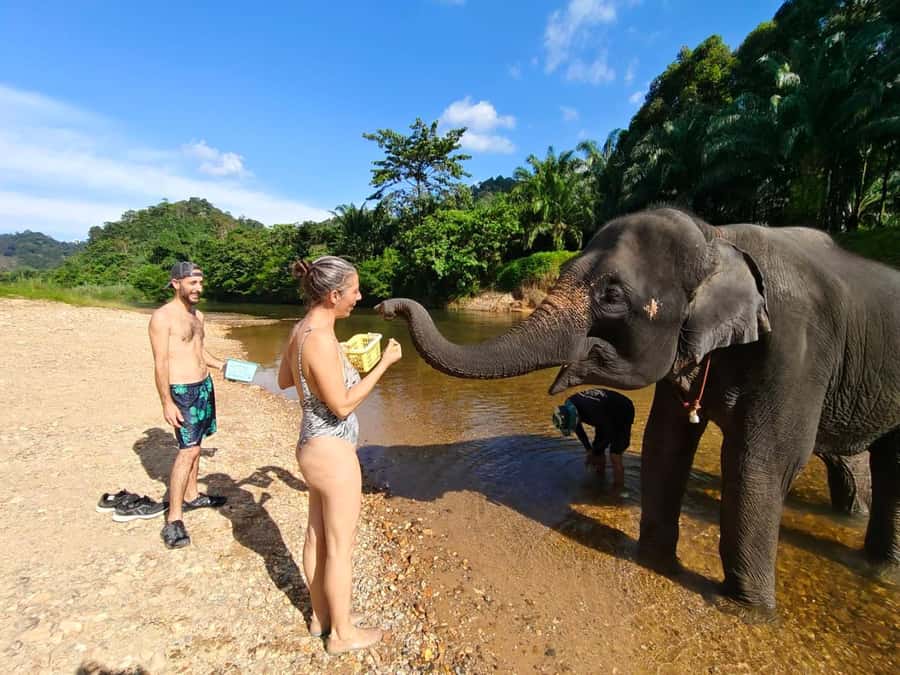 Krabi: Khao Sok Elephant Rescue Center & Bamboo Raft Paddle - Bamboo Coffee on the River: A Small Stop With a Local Feel