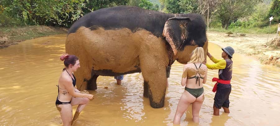 Krabi: Khao Sok Elephant Rescue Center & Bamboo Raft Paddle - Temple and Waterfall Stops: Quick Culture and Nature Bites