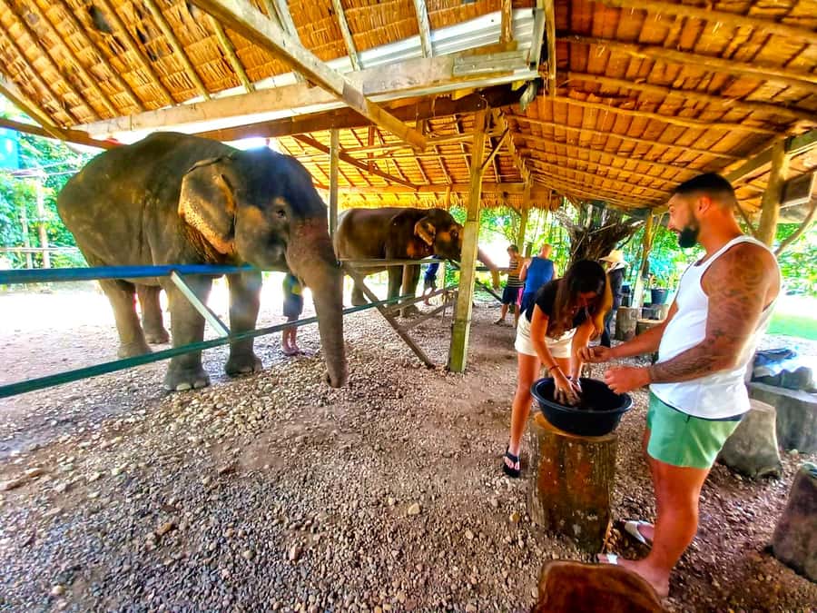 Krabi: Khao Sok Elephant Rescue Center & Bamboo Raft Paddle - The Van Ride Plus Viewpoints: How the Day Gets Its Groove