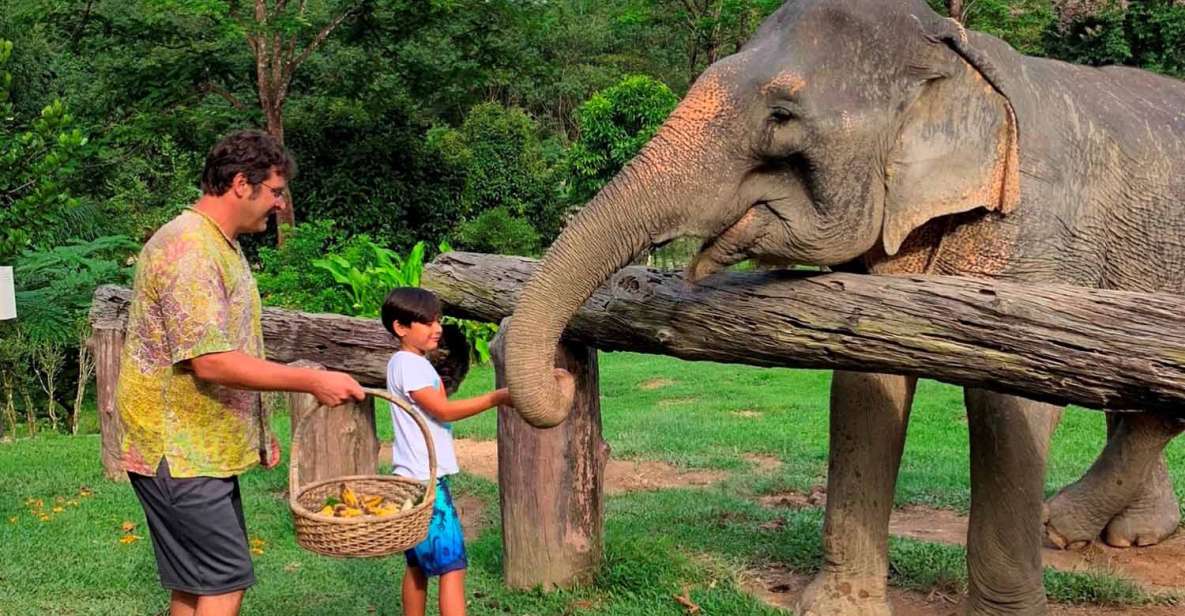 Krabi: Khao Sok Elephant Sanctuary, Rafting Tour, and Lunch - A 6-hour Khao Sok day that starts with an air-conditioned van