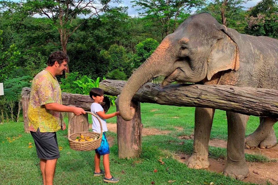 Krabi: Khao Sok Elephant Sanctuary, Rafting Tour, and Lunch - Jungle bamboo rafting: floating past birds, wildlife, and calm water