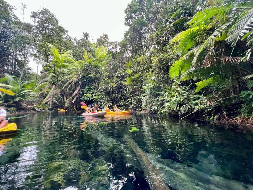 Krabi: Klong Root (Crystal lake) Kayaking tour - Key things to know before you go
