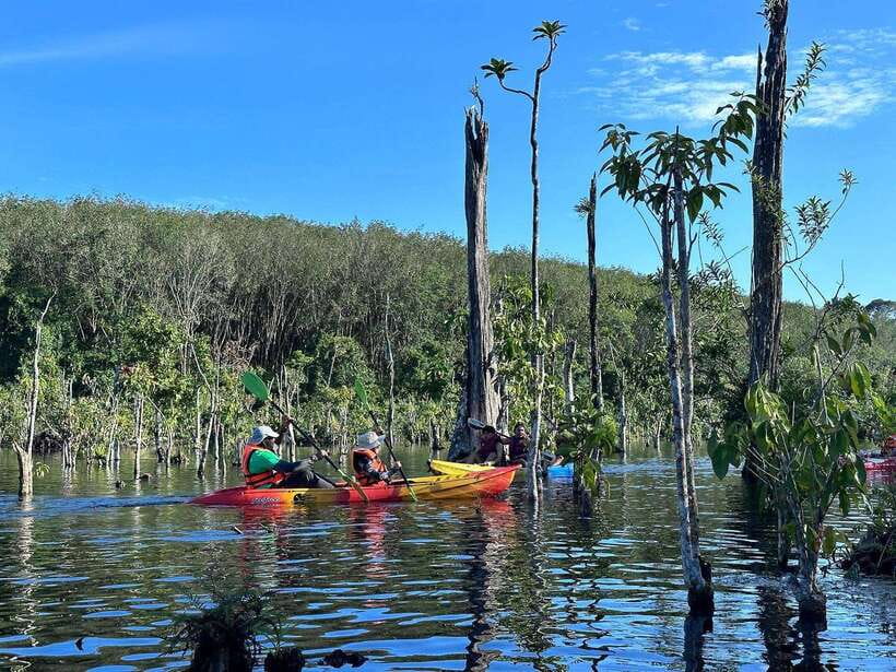Krabi: Klong Root (Crystal lake) Kayaking tour - Paddling Klong Root’s crystal-clear canal (and why it matters)