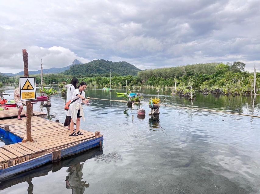 Krabi: Klong Root Kayaking Viewpoint,Fish Feeding and more - Should you book the Klong Root kayaking + swim + fish feeding tour?