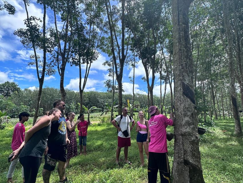 Krabi: Klong Root Kayaking Viewpoint,Fish Feeding and more - Kayaking, swimming, fish feeding: how the 3-hour flow really plays out