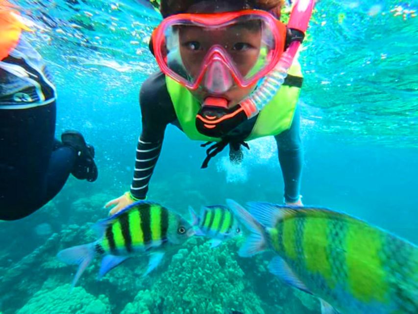Krabi: Koh Rok & Koh Haa Hidden Snorkeling Tour by Speedboat - Key highlights that matter (not just nice words)
