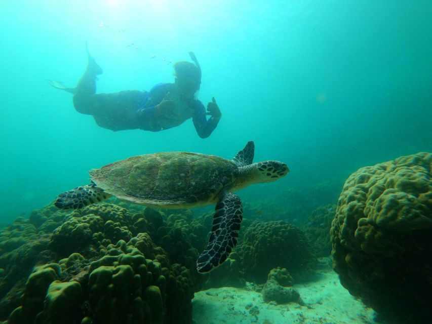 Krabi: Koh Rok & Koh Haa Hidden Snorkeling Tour by Speedboat - What to pack for the Krabi Koh Rok & Koh Haa day (and what to skip)