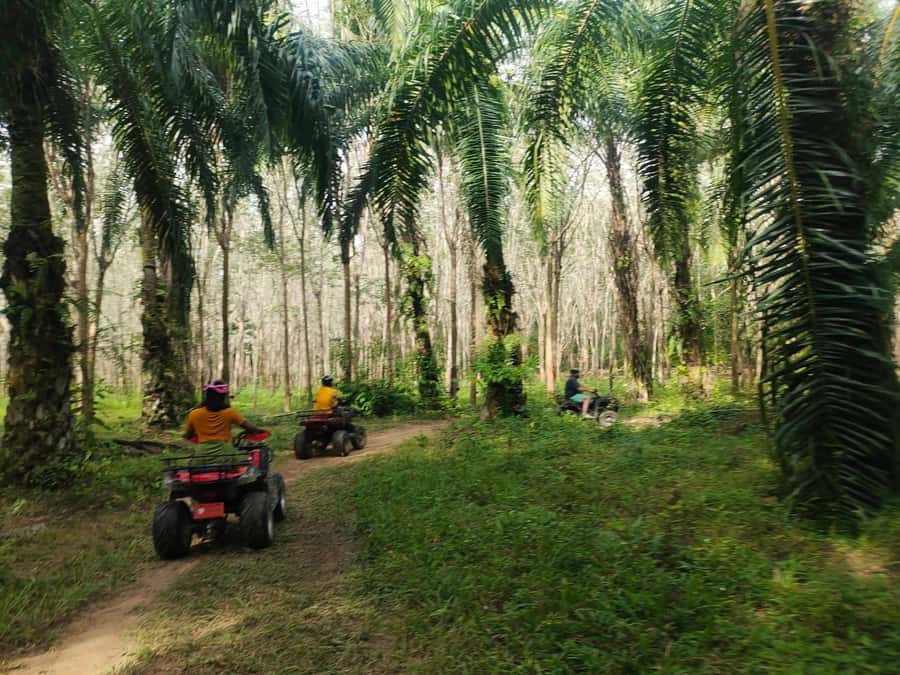 Krabi : Krabi kayak & ATV Jungle adventure (group of 10 max) - What to Bring: Sunscreen Is a Given, Bug Spray Is Smart