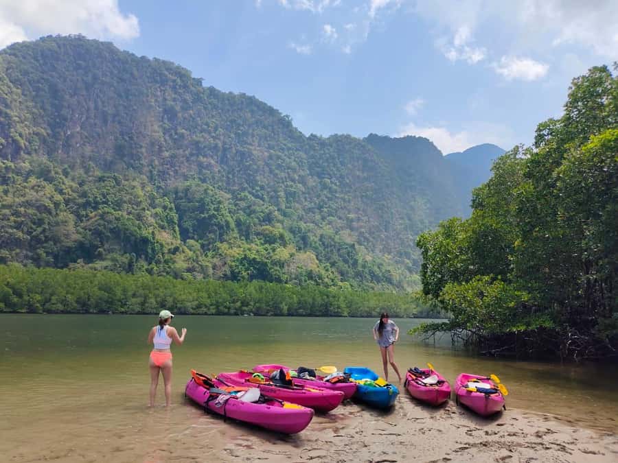 Krabi : Krabi kayak & ATV Jungle adventure (group of 10 max) - Ao Thalane Mangroves: The Morning That Starts Like a Nature Movie