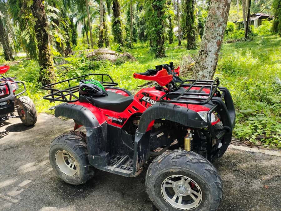 Krabi : Krabi kayak & ATV Jungle adventure (group of 10 max) - The Swim and Stop Break: When the Scenery Gets Up Close