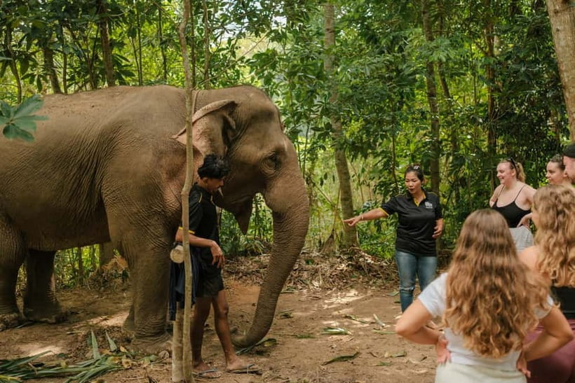 Krabi: Love Elephant Sanctuary Tour - Where This Krabi Sanctuary Fits (Ao Nang to the Elephant World)
