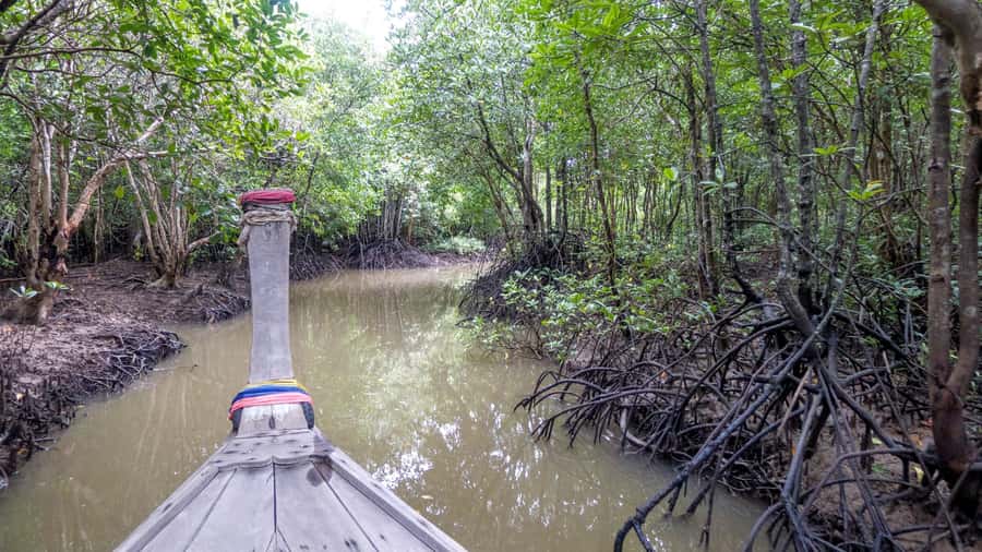 Krabi: Mangrove Magic & Koh Klang Charm by Longtail Boat - Koh Klang: Lunch, Culture, and the Motorbike Sidecar Ride