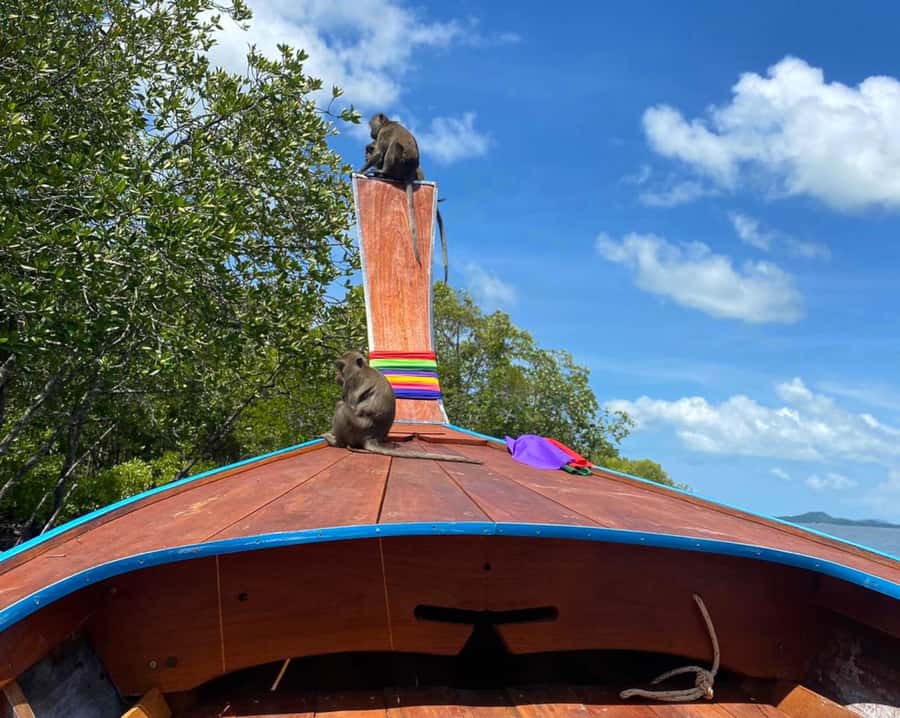 Krabi: Mangroves and Khao Kanab Nam Cave Tour with Lunch - Should You Book This Krabi Mangroves and Khao Khanab Nam Cave Tour?