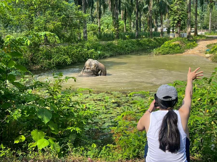 Krabi: Observation-Only Elephant Sanctuary 2hrs Mini Moments - Entering the sanctuary mission and the elephants’ stories