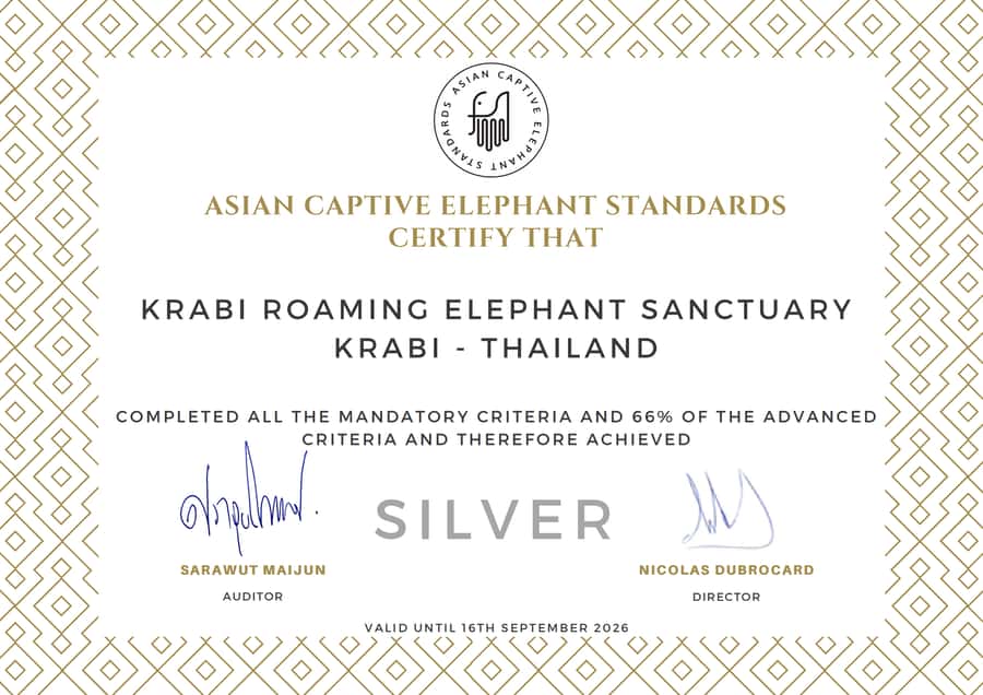 Krabi: Observation-Only Elephant Sanctuary 2hrs Mini Moments - Time, transport, and how the 2 hours actually fit your day