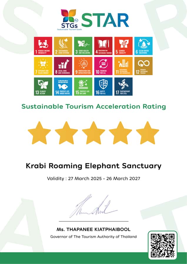 Krabi: Observation-Only Elephant Sanctuary 2hrs Mini Moments - Tray feeding: gentle contact without the petting show