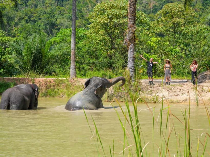 Krabi: Observation-Only Elephant Sanctuary Half-Day & Meal - Paint Your Own Fabric Bag: A Souvenir That Won’t Feel Hollow