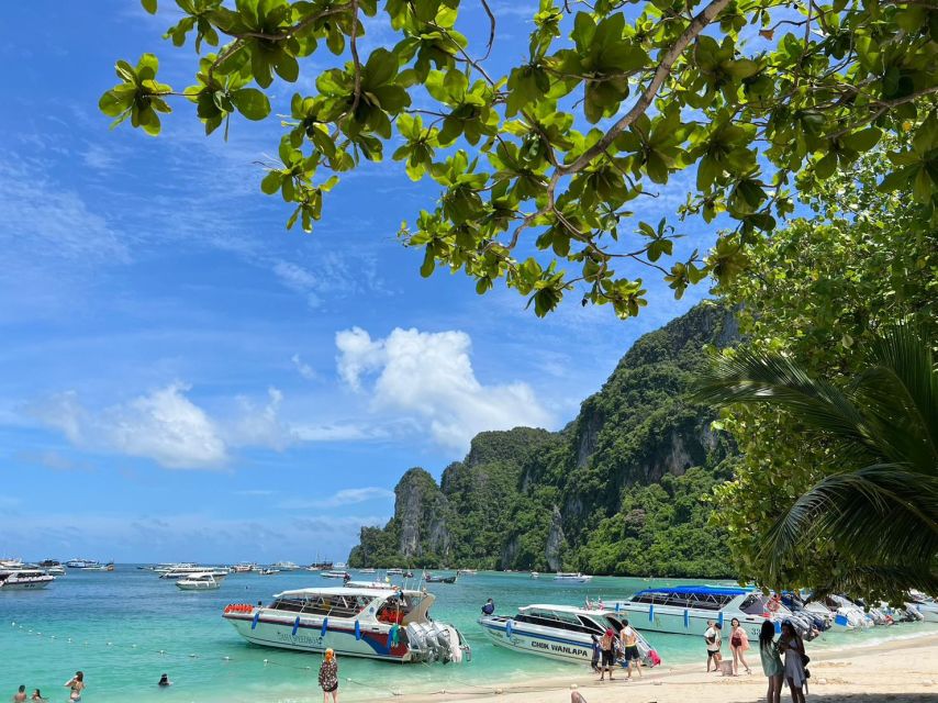 Krabi: One Day Phi Phi Island by speed boat ( Join ) - Monkey Bay: Macaques on the Beach and Real Snorkeling Time