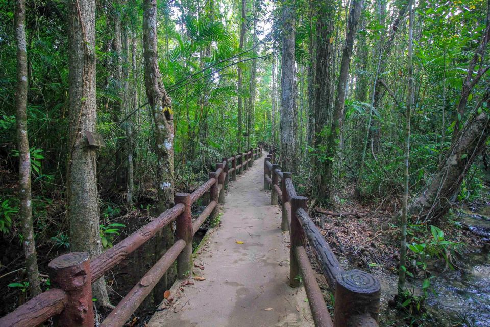 Krabi Outback Explorer with Thrilling ATV Ride - Key points to know before you go