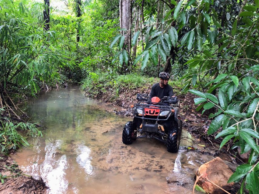 Krabi Outback Explorer with Thrilling ATV Ride - Khao Pra Bang Khram Wildlife Sanctuary: birds, mangroves, and peat swamp forest
