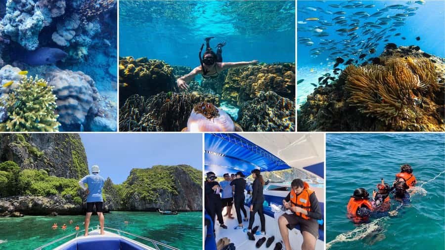 Krabi: Phi Phi Islands Full-Day Private Speedboat Charter - Loh Samah Bay snorkeling: coral reef time with bright fish