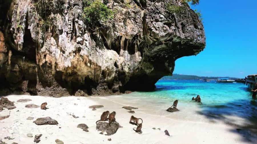 Krabi: Phi Phi Islands Full-Day Private Speedboat Charter - Lunch at Arida Restaurant 2 and a quick look at Ko Phi Phi Don