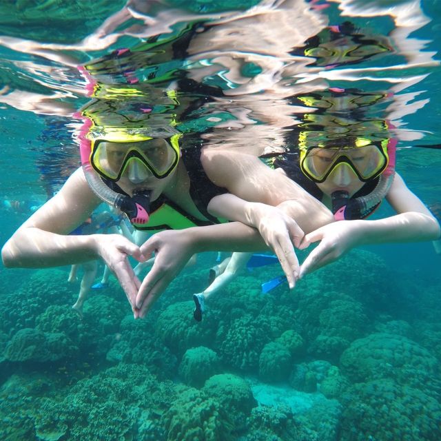 Krabi: Phi Phi Islands Speedboat Tour with Buffet Lunch - Phi Phi Don buffet lunch: included, halal options, and what to expect