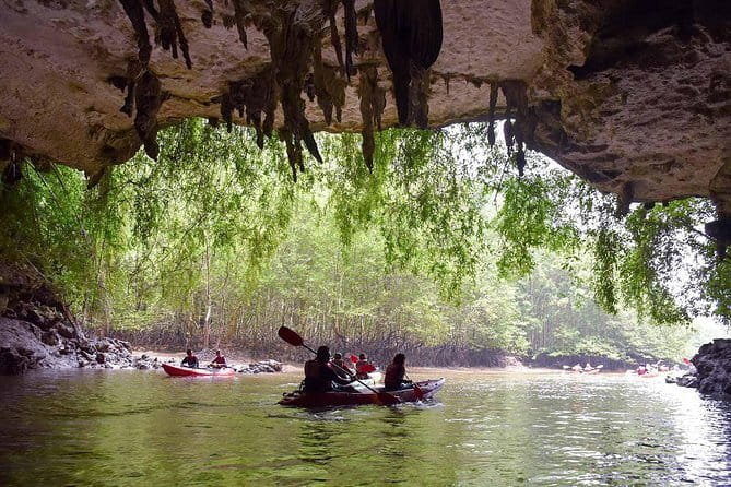 Krabi: Phi Phi, Maya Bay, Bamboo Island Speedboat Tour with Lunch - Stop by Stop: What Each Island Moment Gives You
