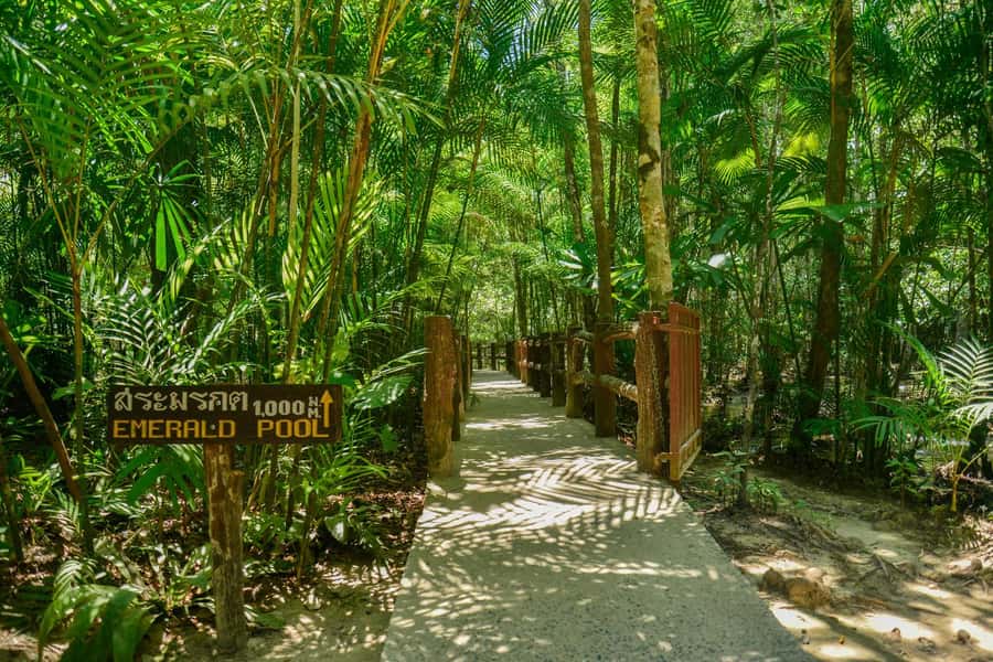 Krabi Private Escape: Emerald Pool, Hot Springs & Tiger Cave - Should you book it? My honest take