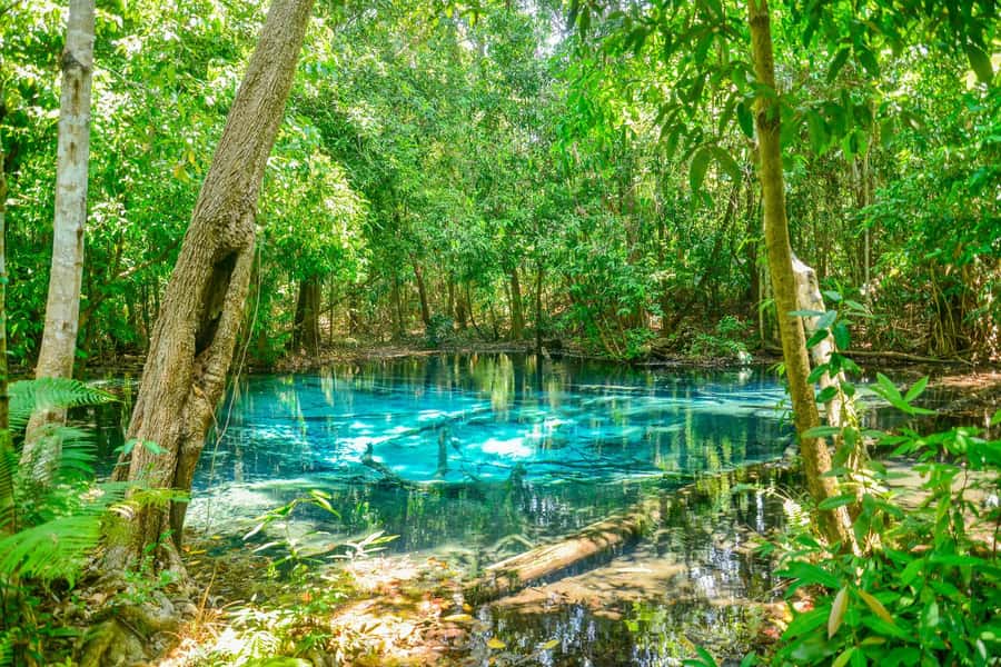 Krabi Private Escape: Emerald Pool, Hot Springs & Tiger Cave - Emerald Pool: swim time, jungle paths, and choosing your effort level