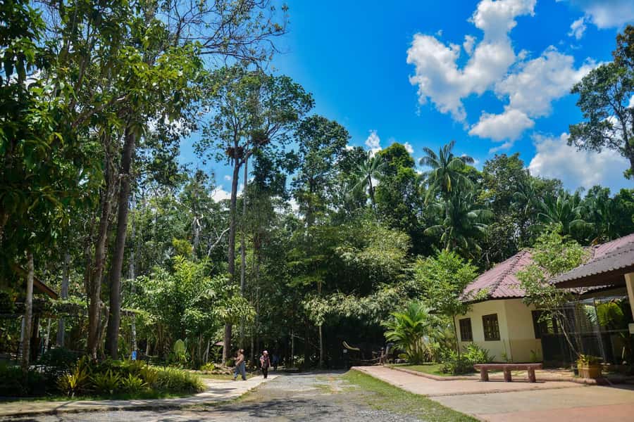 Krabi Private Escape: Emerald Pool, Hot Springs & Tiger Cave - Hot Stream Krabi: the “let your body cool down” stop