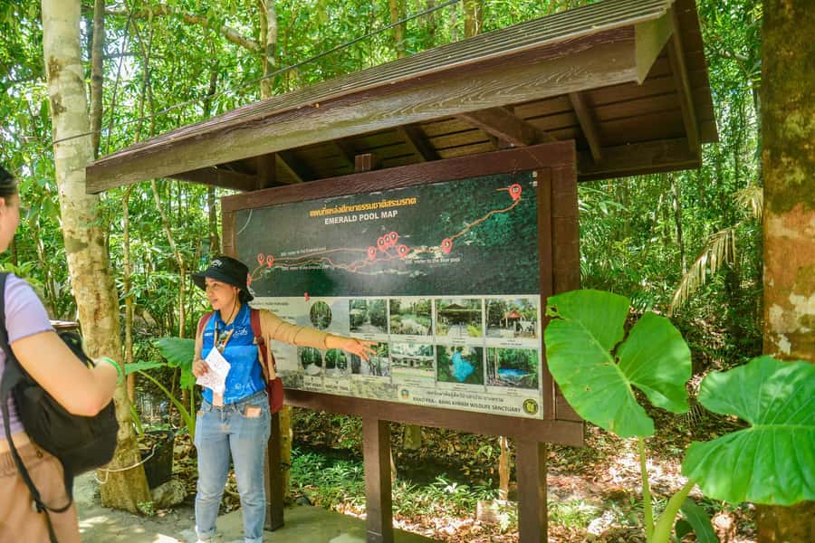 Krabi Private Escape: Emerald Pool, Hot Springs & Tiger Cave - Who should book this Krabi private escape—and who should skip it