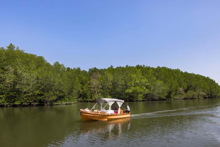 Krabi Private Gondola Cruise with Lunch and Picnic - Entering Krabi’s Mangrove World From a Private Pier