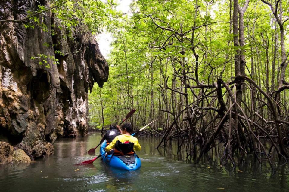 Krabi: Private Sea Kayaking in Ao Thalane and Hong Island - Key highlights at a glance