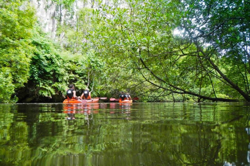 Krabi: Private Sea Kayaking in Ao Thalane and Hong Island - From hotel pickup to starry return: how the day actually moves