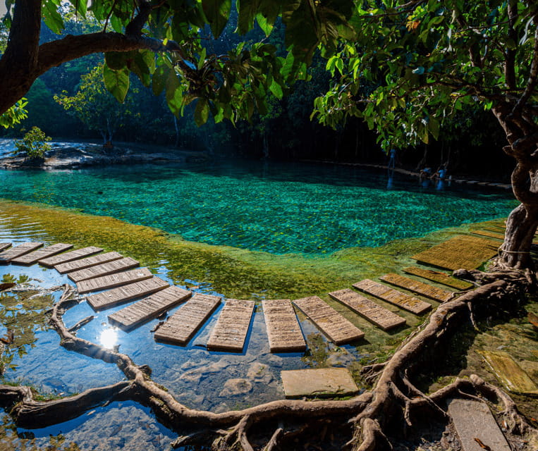 Krabi: Rainforest Jungle Tour with Emerald Pool & Hot Spring - Pickup Windows: Ao Nang vs Krabi Town vs Khlong Muang