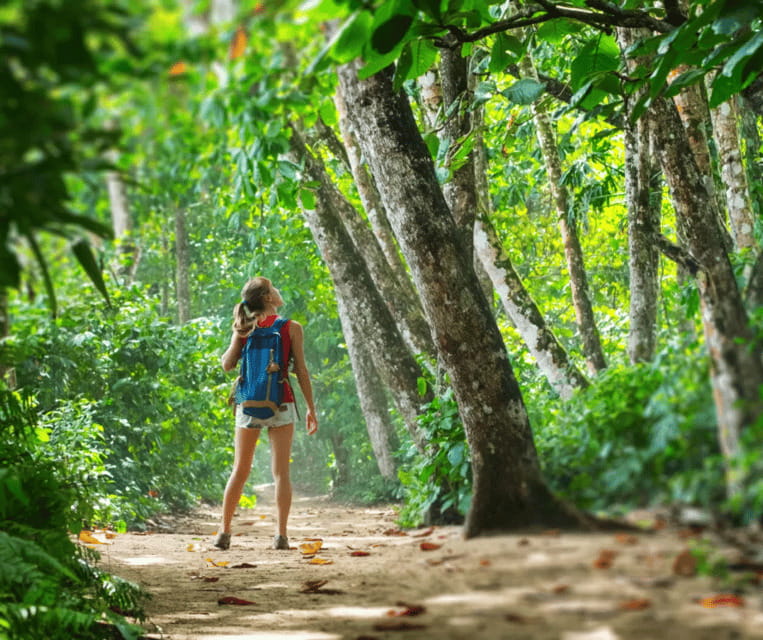 Krabi: Rainforest Jungle Tour with Emerald Pool & Hot Spring - Tiger Cave Temple on the Full-Day Route: Views and a Good Walk