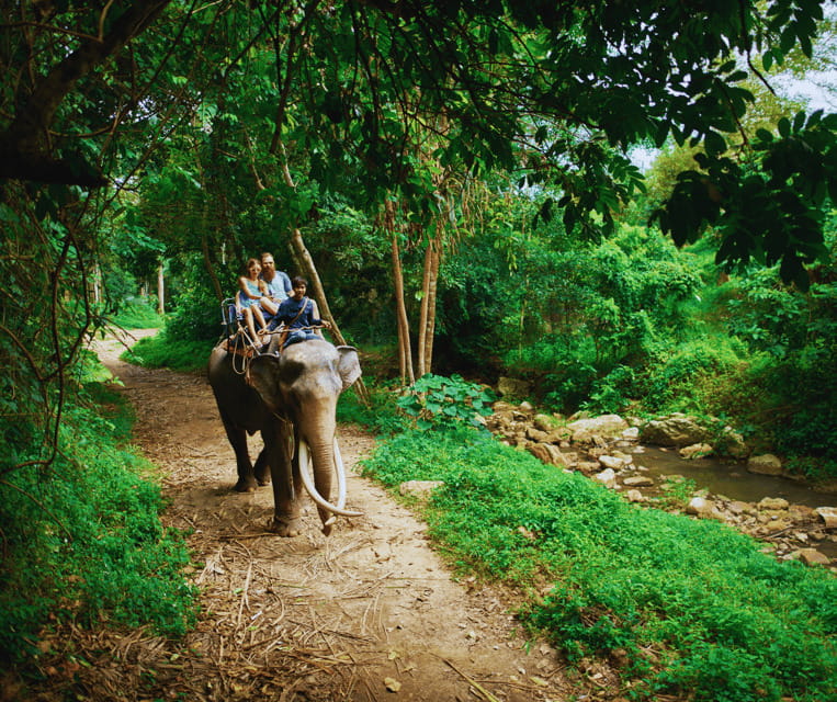 Krabi: Rainforest Jungle Tour with Emerald Pool & Hot Spring - The Suspension Bridge Canopy Walk: Prehistoric-Feeling Rainforest