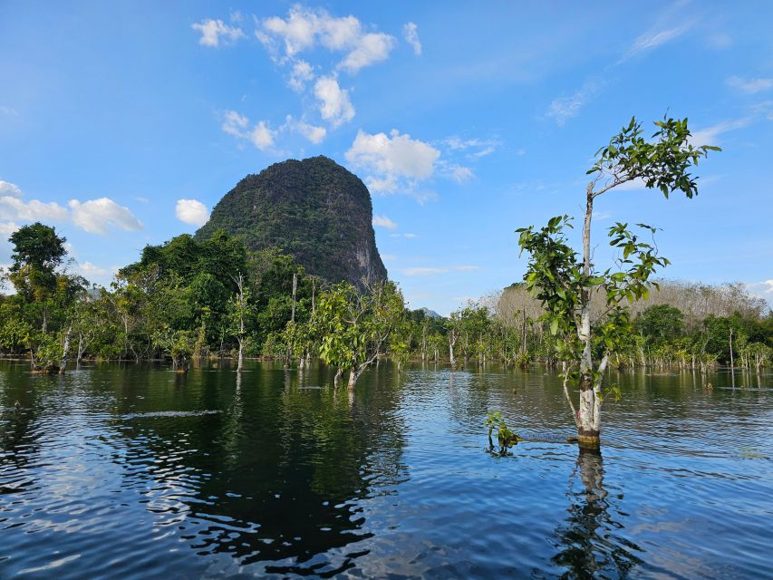 Krabi: South Kayak Klong Root Kayaking Tour - Key takeaways before you book