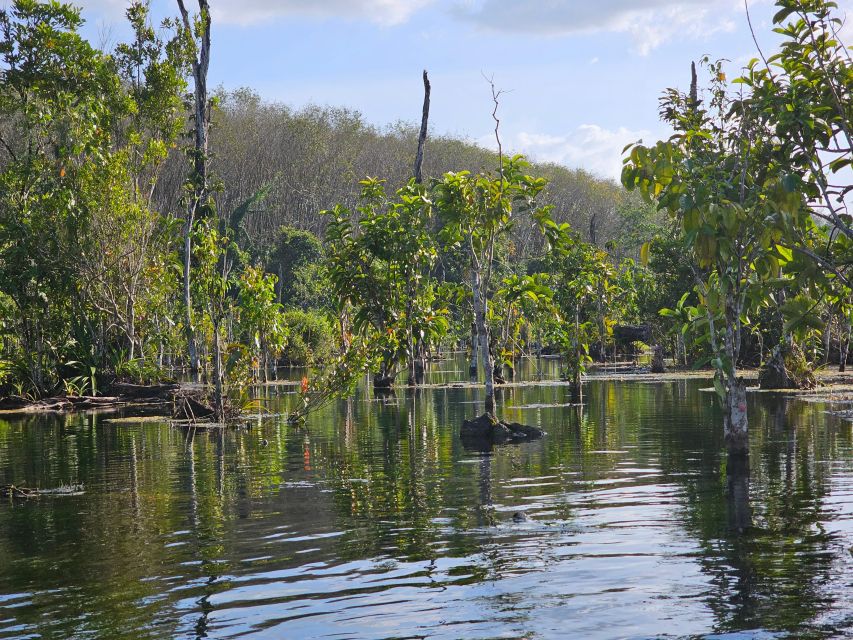 Krabi: South Kayak Klong Root Kayaking Tour - Who should go, and who should skip it