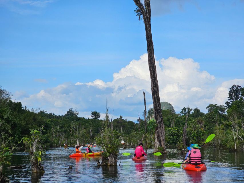 Krabi: South Kayak Klong Root Kayaking Tour - Khlong Root entrance fee in cash: the one extra cost you must plan for
