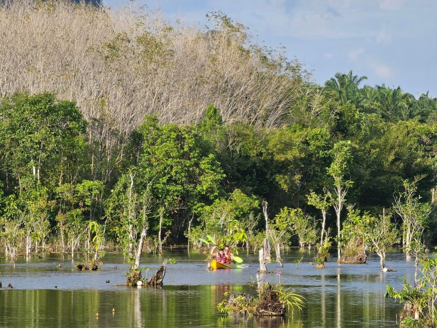 Krabi: South Kayak Klong Root Kayaking Tour - Seasonal fruit and the feel of a complete, not-stuffed tour
