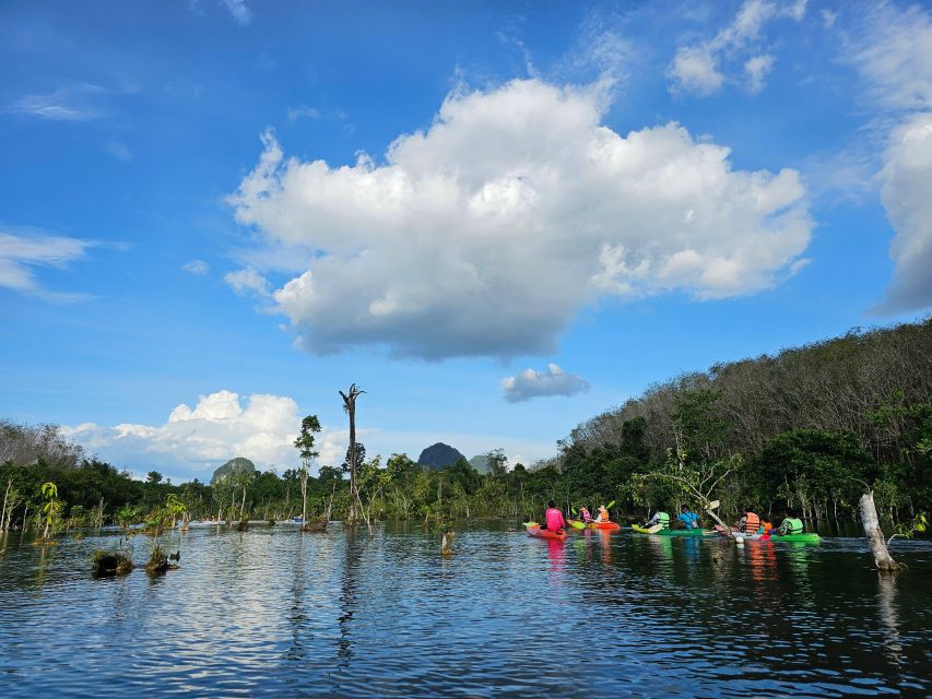 Krabi: South Kayak Klong Root Kayaking Tour - Price and value: $18 makes sense when you’re in Ao Nang
