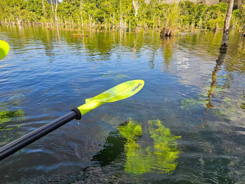 Krabi: South Kayak Klong Root Kayaking Tour - Pairing it with elephant baths and ATV adventures