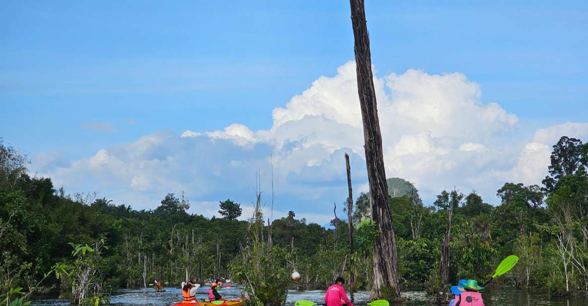 Krabi: South Kayak Klong Root Kayaking Tour - Transfers from Ao Nang and the time you must actually show up