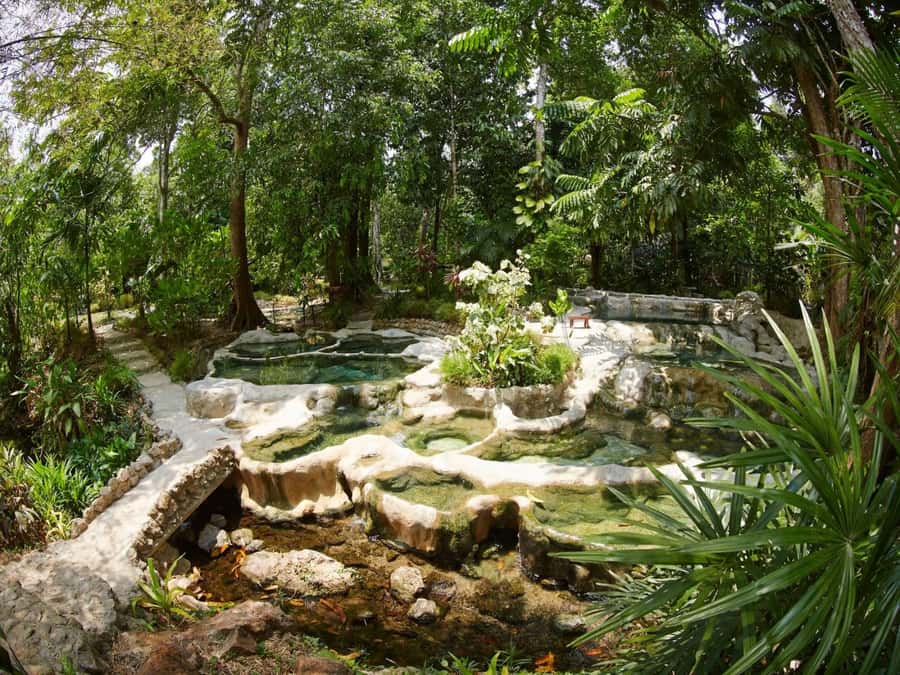 Krabi: Spa and Therapy Half, 1-Hour, or Full-Day Packages - Key Points to Know Before You Go