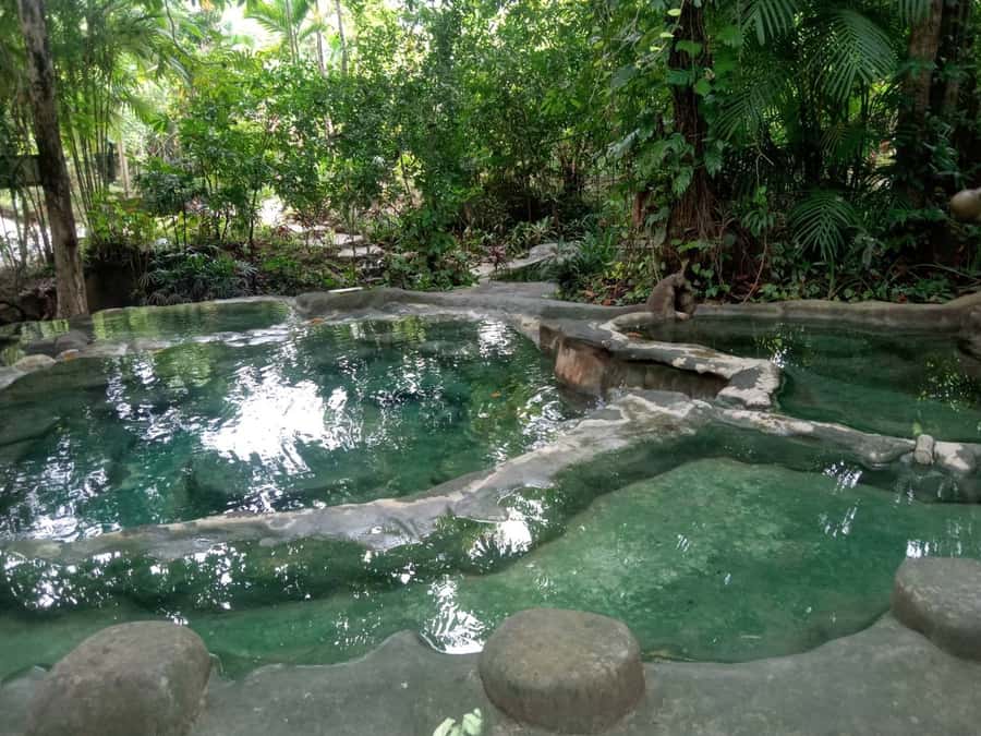 Krabi: Spa and Therapy Half, 1-Hour, or Full-Day Packages - Full-Day Phra Suthon Song Palang: mud and Tanaka wraps plus a meridian point massage