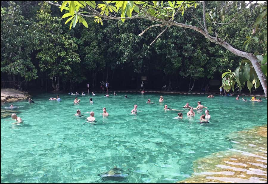 Krabi Tiger cave , emerald pool, hosspring waterfall jungle - How the day is structured: temple, rainforest, then hot springs